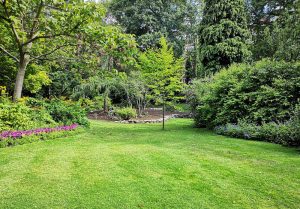 Optimiser l'expérience du jardin à Saint-Germain-de-Montbron